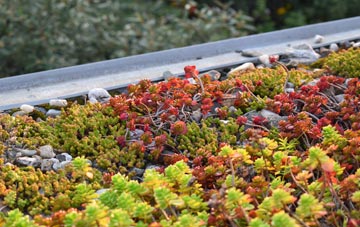 the cost of Wardle Bank green roof installation
