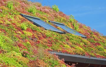 Wardle Bank living roof systems