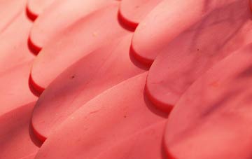 Wardle Bank plastic roof costs